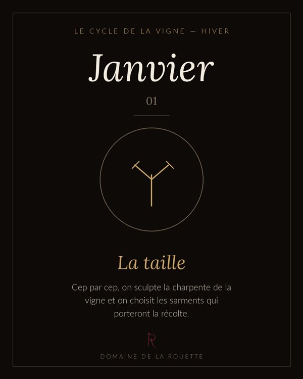 Calendrier du vigneron