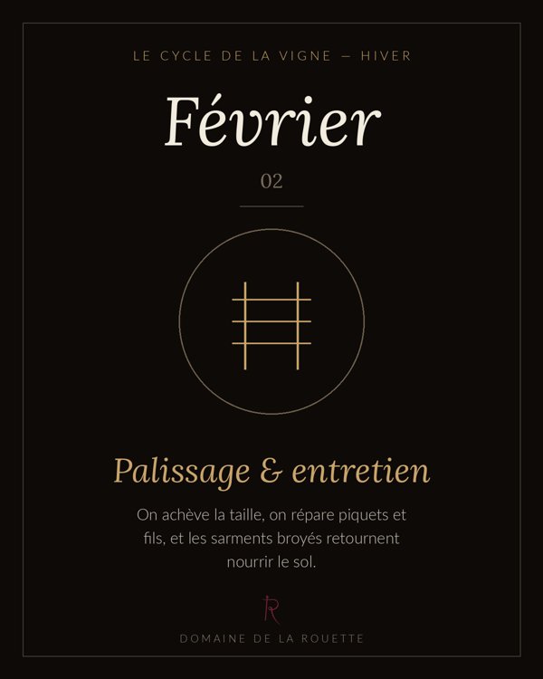 Février — Palissage & entretien