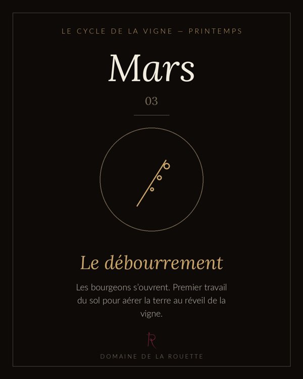Mars — Le débourrement