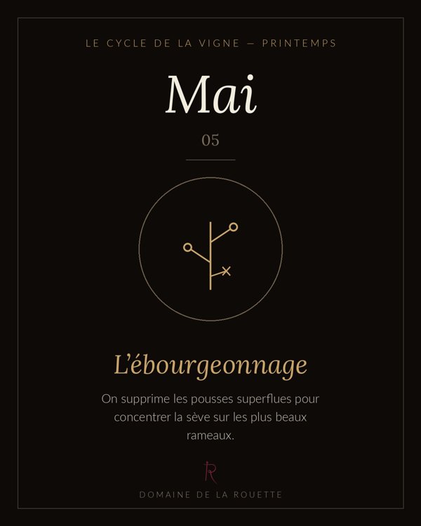Mai — L'ébourgeonnage