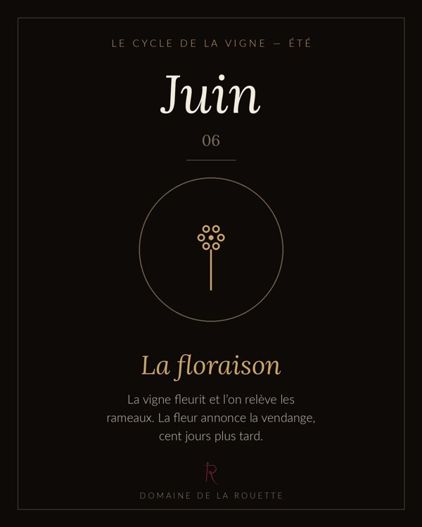 Juin — La floraison