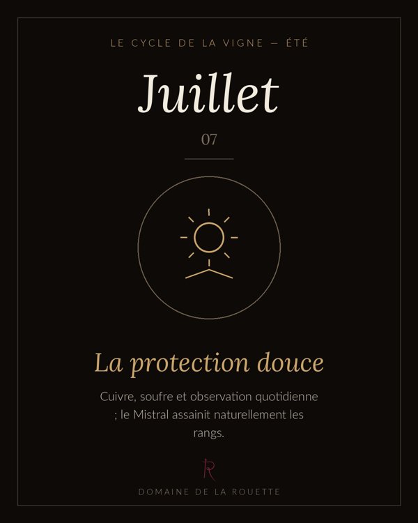 Juillet — La protection douce