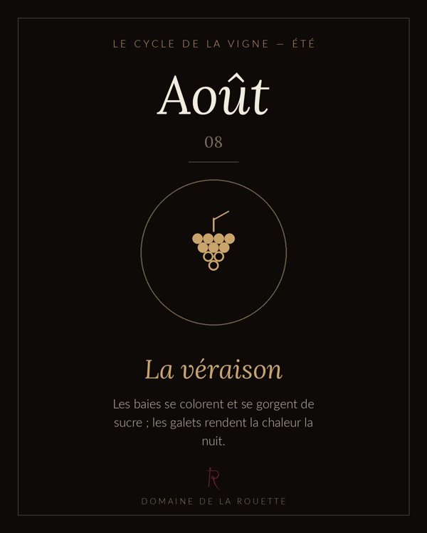 Août — La véraison