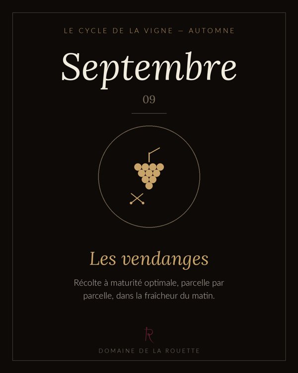Septembre — Les vendanges