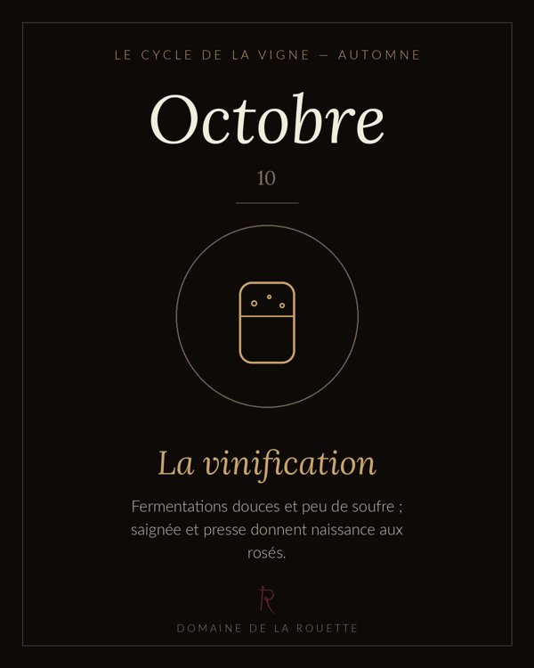 Octobre — La vinification