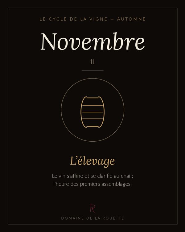 Novembre — L'élevage